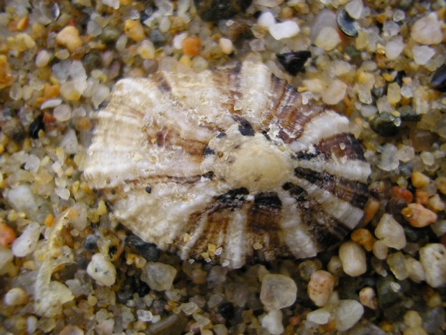 Tresor_027.jpg