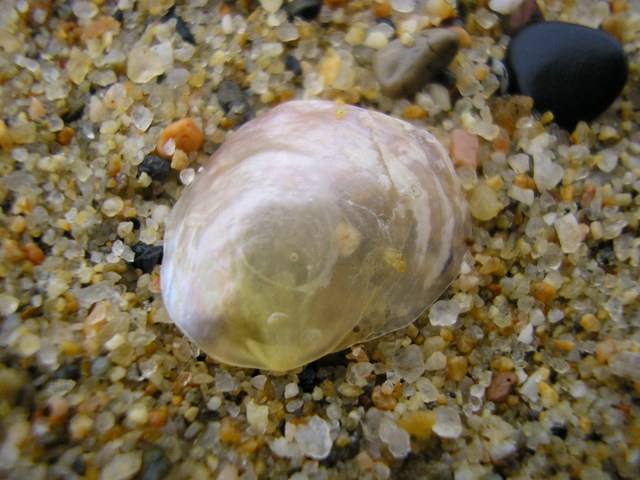 Tresor_034.jpg