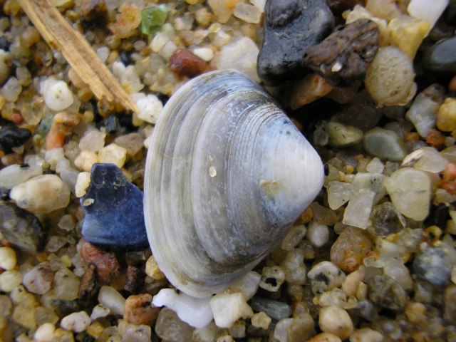 Tresor_036.jpg