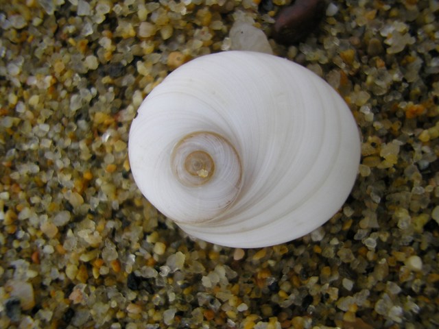 Tresor_063.jpg