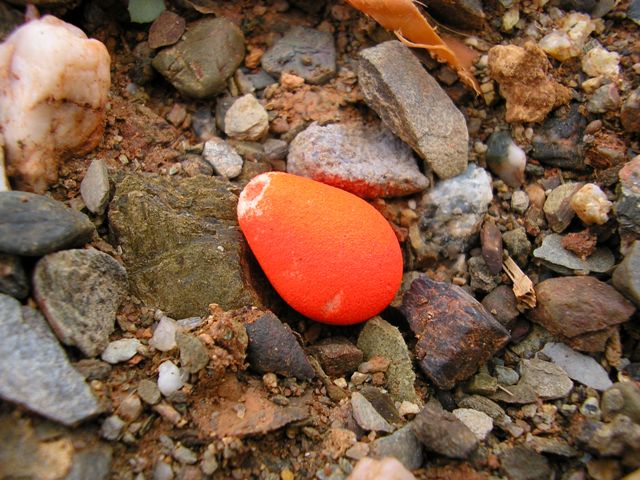 Tresor_069.jpg