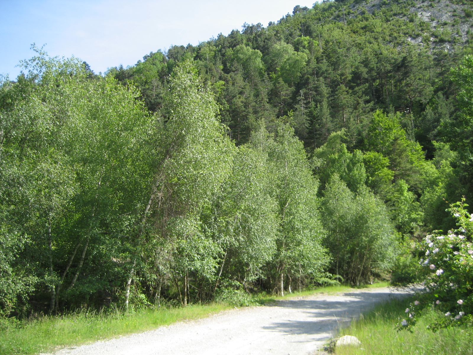 trimboleras+008.JPG