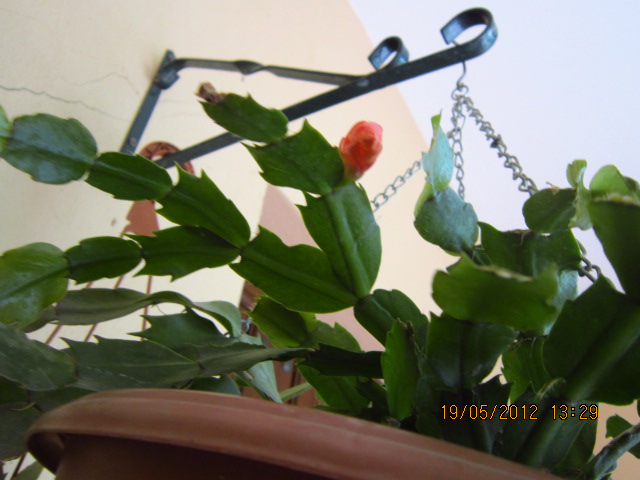 tSaIMG32403mw.jpg