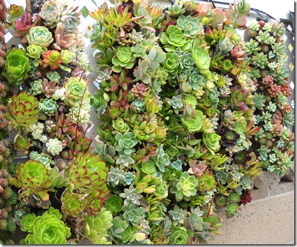 TubePlanter_10_thumb.jpg
