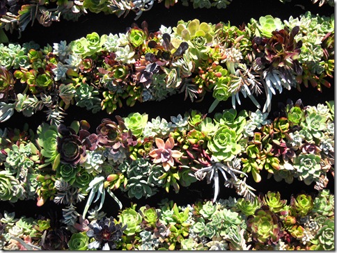 TubePlanter_4_thumb.jpg