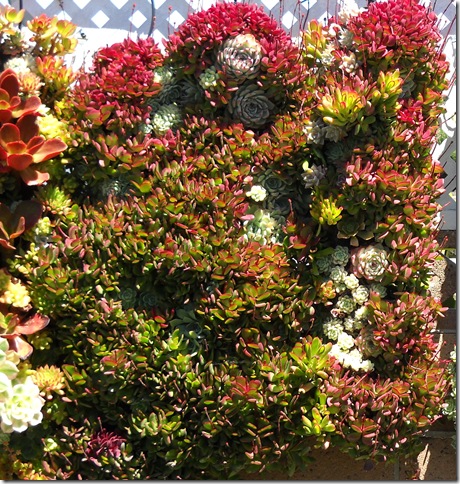 TubePlanter_5_thumb.jpg
