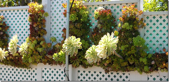 TubePlanter_6_thumb.jpg