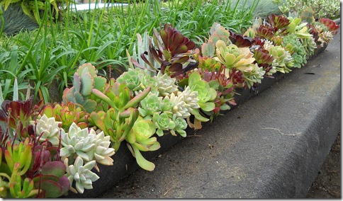 TubePlanter_8_thumb.jpg