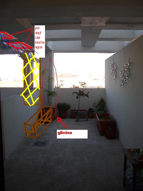 tuber_as.JPG