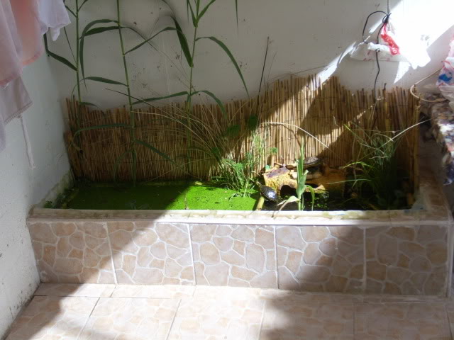 tugas20-05-0926.jpg