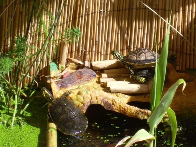 tugas20-05-097.jpg