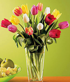 TULIPANES.jpg