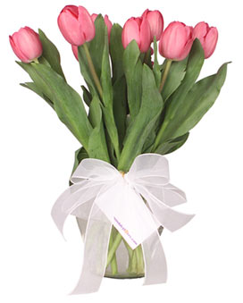 tulipanesss.jpg
