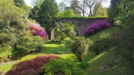 tulipani-in-fiore-ponte.jpg