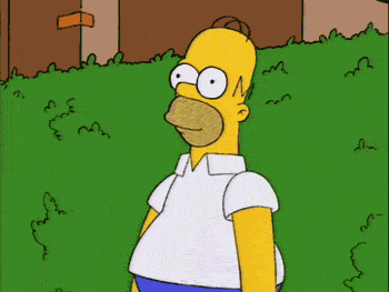 tumblr_lse3keYg3q1qzs21lo1_400.gif