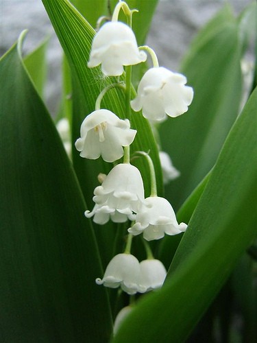 tumblr_lx92ak5BLR1qlytfgo1_400.jpg