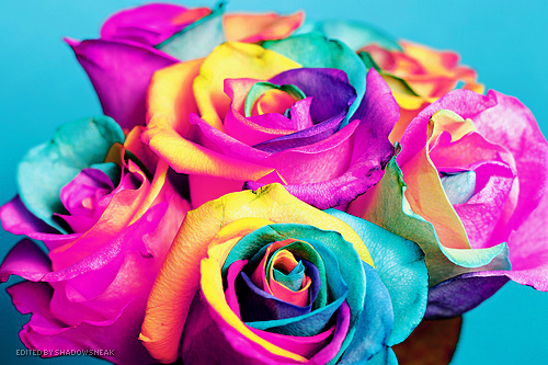 tumblr_m1nq4pfDOf1r0i417o1_500.jpg