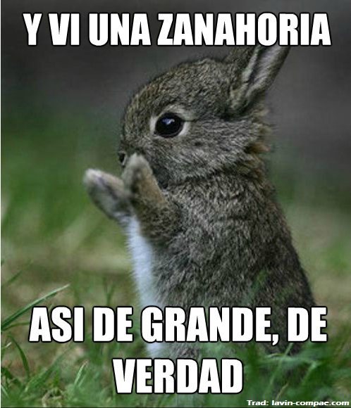 tumblr_m43wz1uYtr1qlapaeo1_500.jpg
