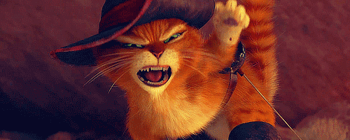 tumblr_md2z3eF8qy1rw5rplo1_500.gif
