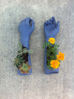 tumblr_n0bsmlhNYr1r7081co1_250.jpg