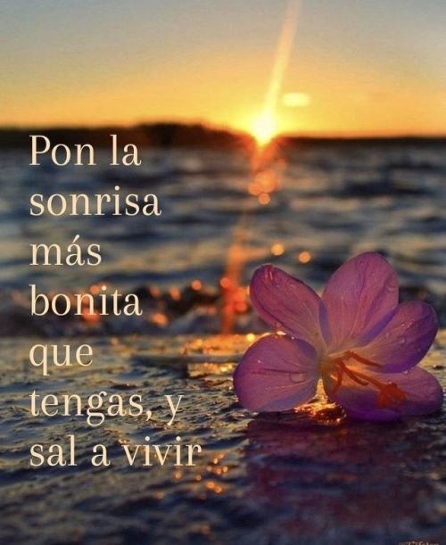 tumblr_pv16ts05az1y82il2o1_500.jpg