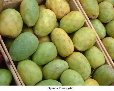 Tunas_.jpg