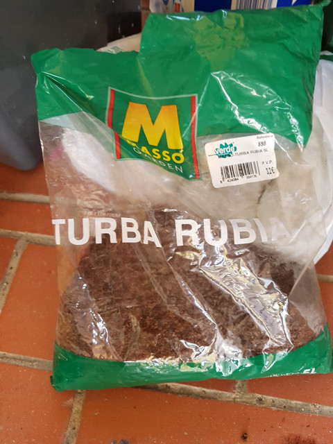 Turba_rubia.jpg