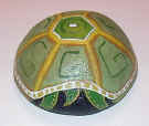 turtle1_bk_small.jpg