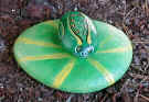 turtle2_small.jpg