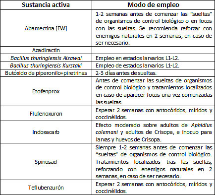 tuta_absoluta_tabla.jpg