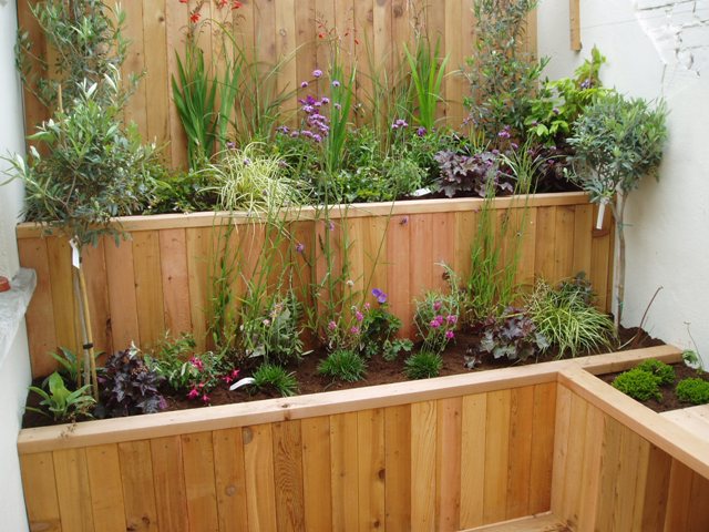 two-tier-planter-for...-201106151131268l.jpg