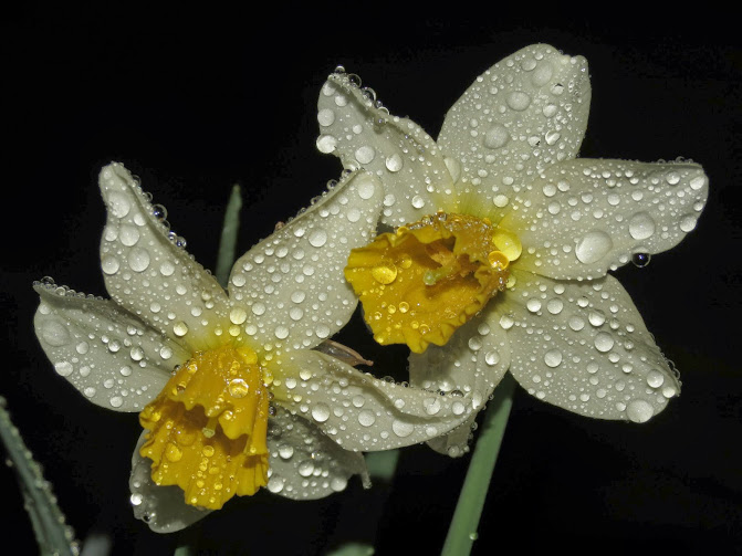 TxUB9xai3ivAjW6JlP7Rqw6hkqqCfmdhbdhqrrcN7Oj5=w671-h503-no.jpg