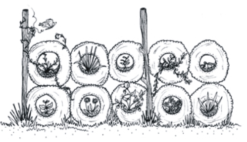 tyre%20wall.jpg