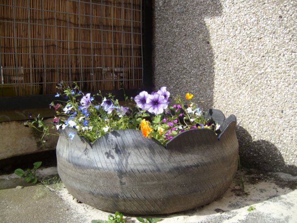 Tyre%252520Planters%2525209.jpg