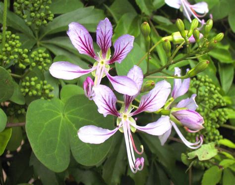?u=https%3A%2F%2Ftse3.mm.bing.net%2Fth%3Fid%3DOIP.PcXOKv9j_LC04saGC_K6TwHaF2%26pid%3DApi&f=1.jpg