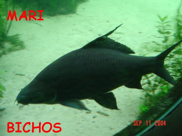 U.K.%20SEP%2C04.%20084.jpg
