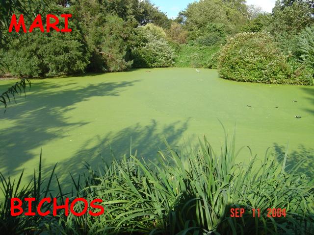 U.K.%20SEP%2C04.%20125listo.jpg