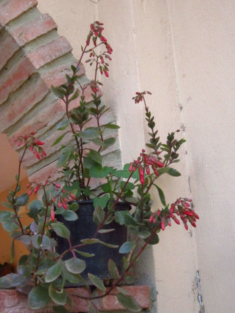 u8YIMG2384BSL.jpg