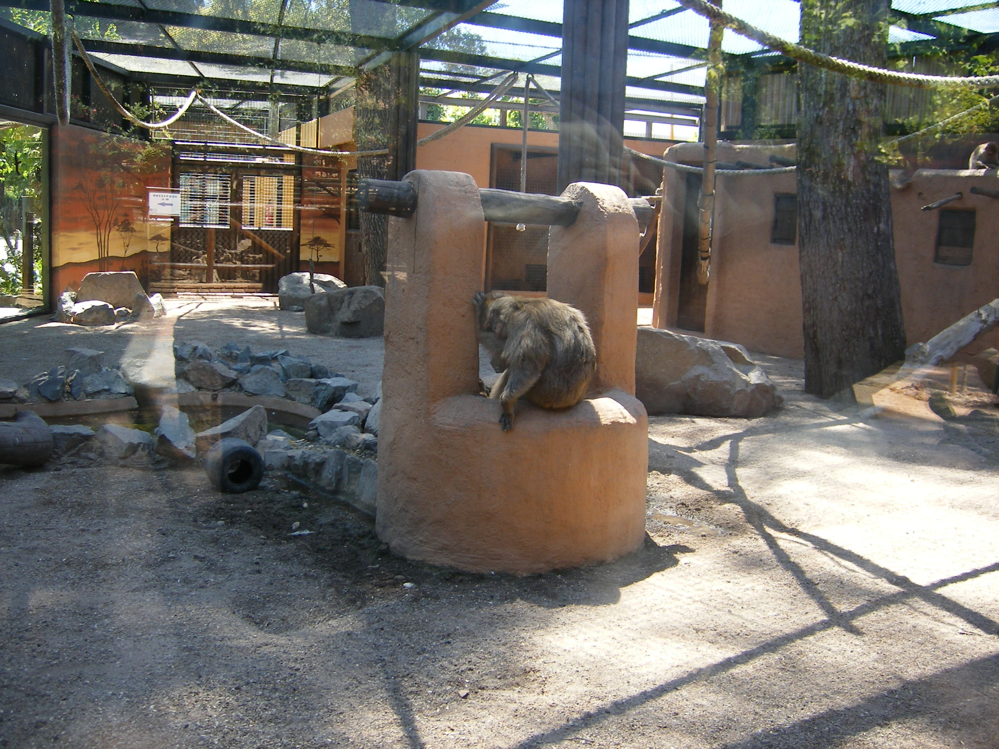 U9uDSCF0027ui2.jpg