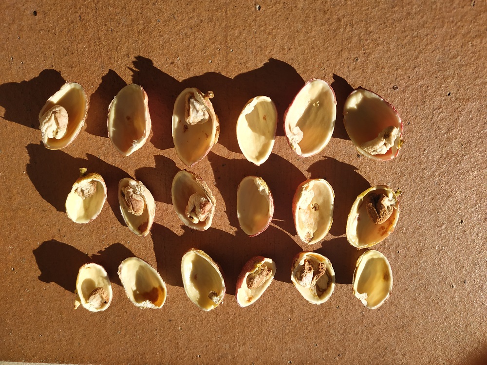 uc?export=view&id=1FeVEmQOimfNQDQOIEdti3P9jeoutaUWJ.jpg