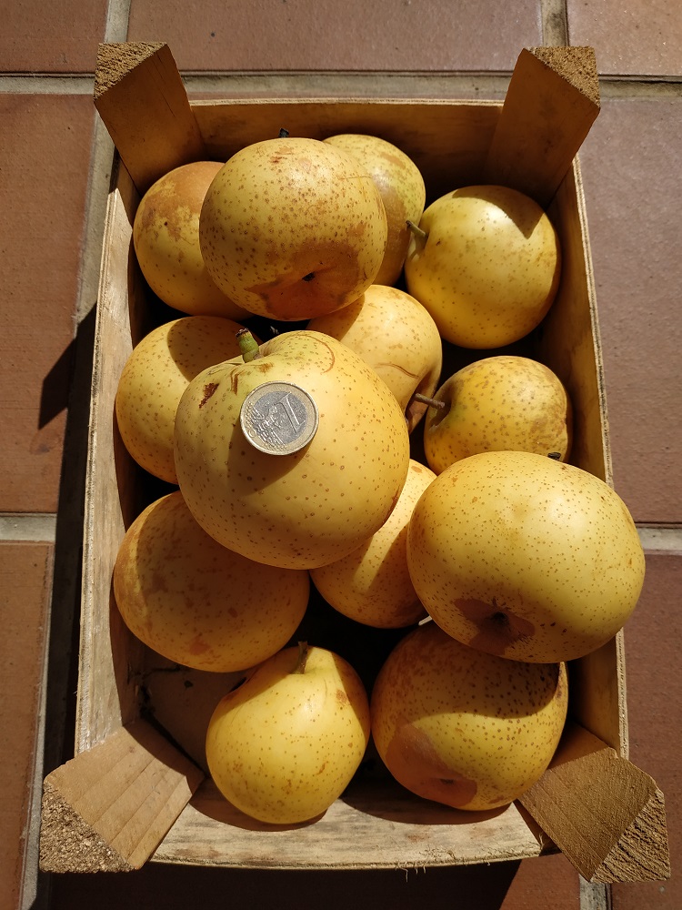 uc?export=view&id=1jg64eZR5sYQxcqYeL3MZKQ23BixgebYR.jpg