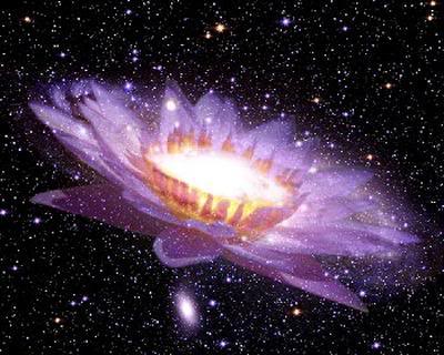 ufo_flower.jpg