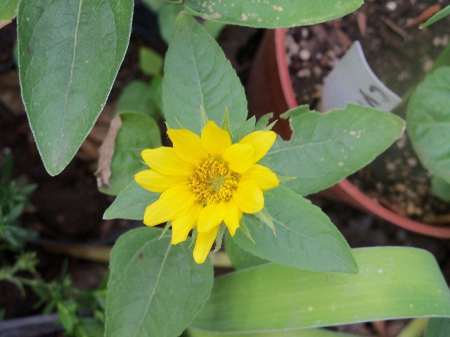 uG11011567redw5H.jpg
