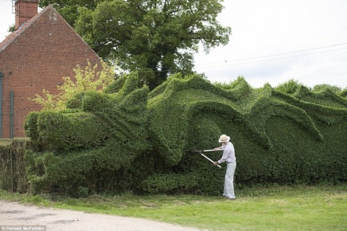un-dragon-en-el-jardin-02.jpg