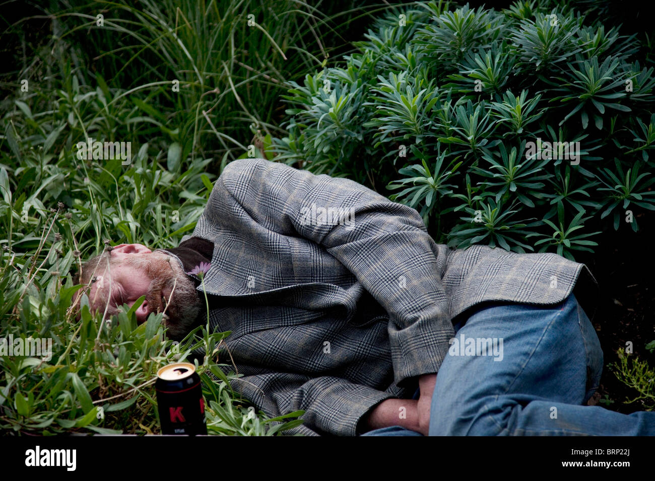 un-hombre-yace-durmiendo-entre-las-plantas-brp22j.jpg