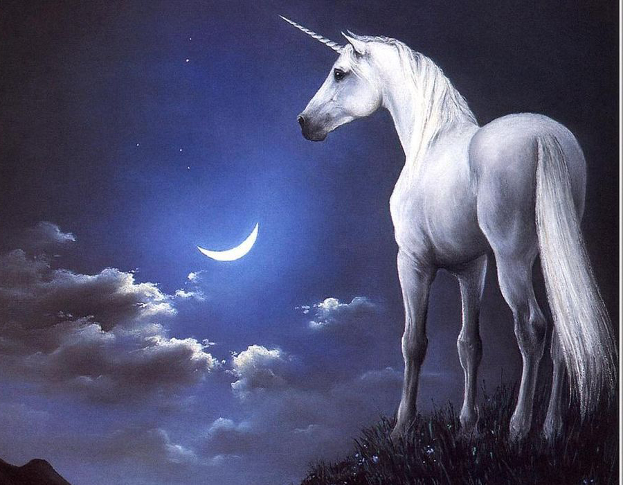 unicornio.jpg