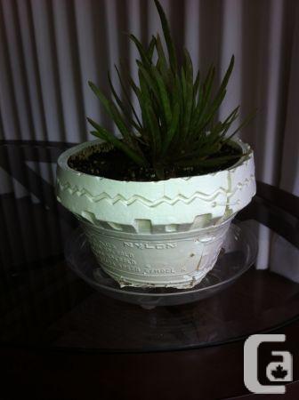 unique-recycled-tire-plant-pot-6-near-lougheed-mall_8026531.jpg