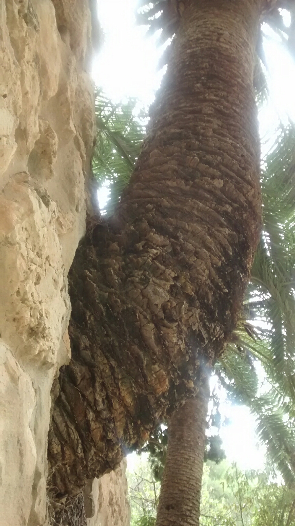 upload_-1.jpg