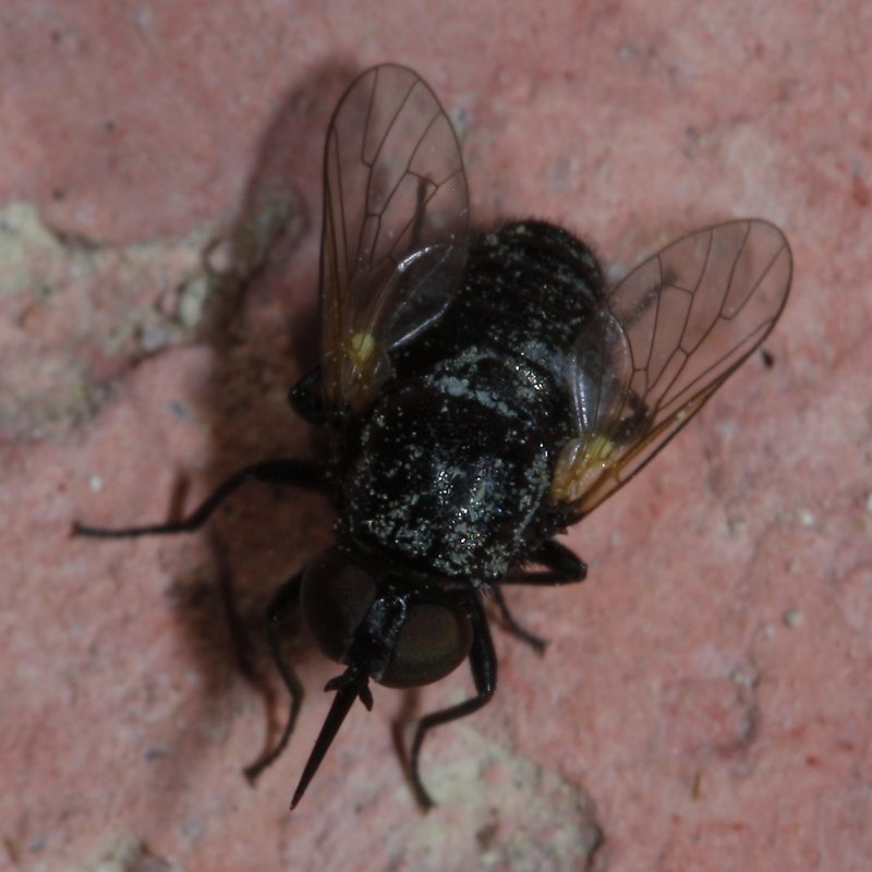 Usia%20sp_2308.jpg