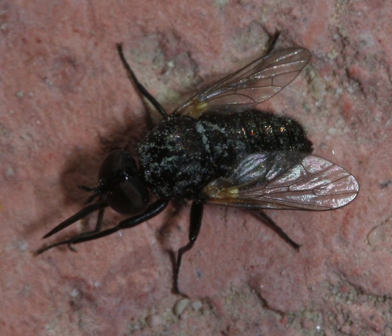 Usia%20sp_2309.jpg